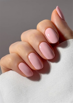 Kyoto Bloom / Delicate Pale Pink Nailberry